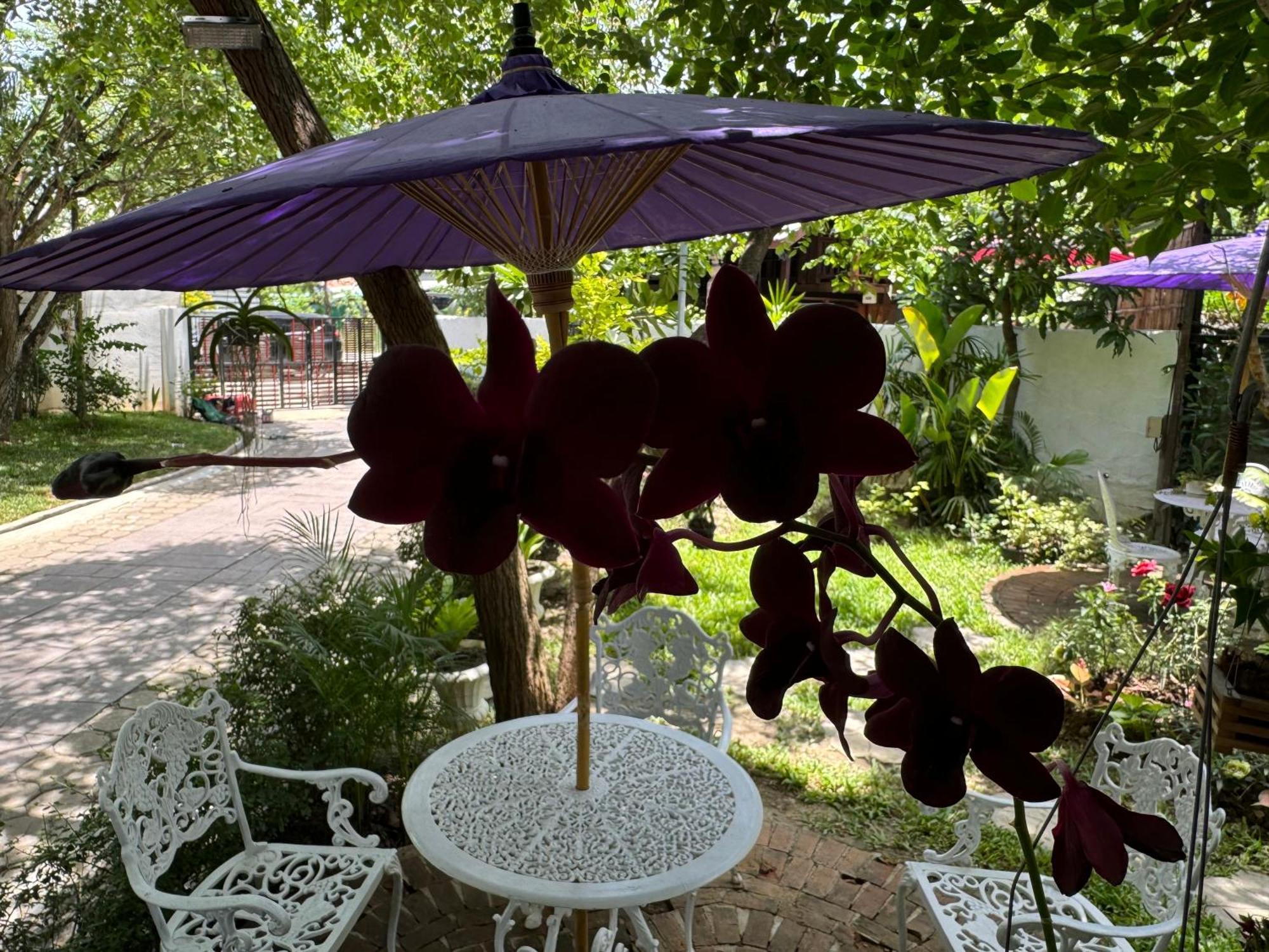 Chiang Mai Las Orquideas Resort Exterior photo
